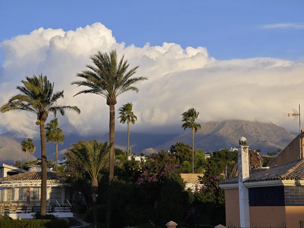 Palm trees near Estepona with clouds over the mountains in December